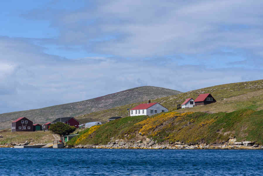 Islas Falkland o Malvinas 054 - New Island.jpg